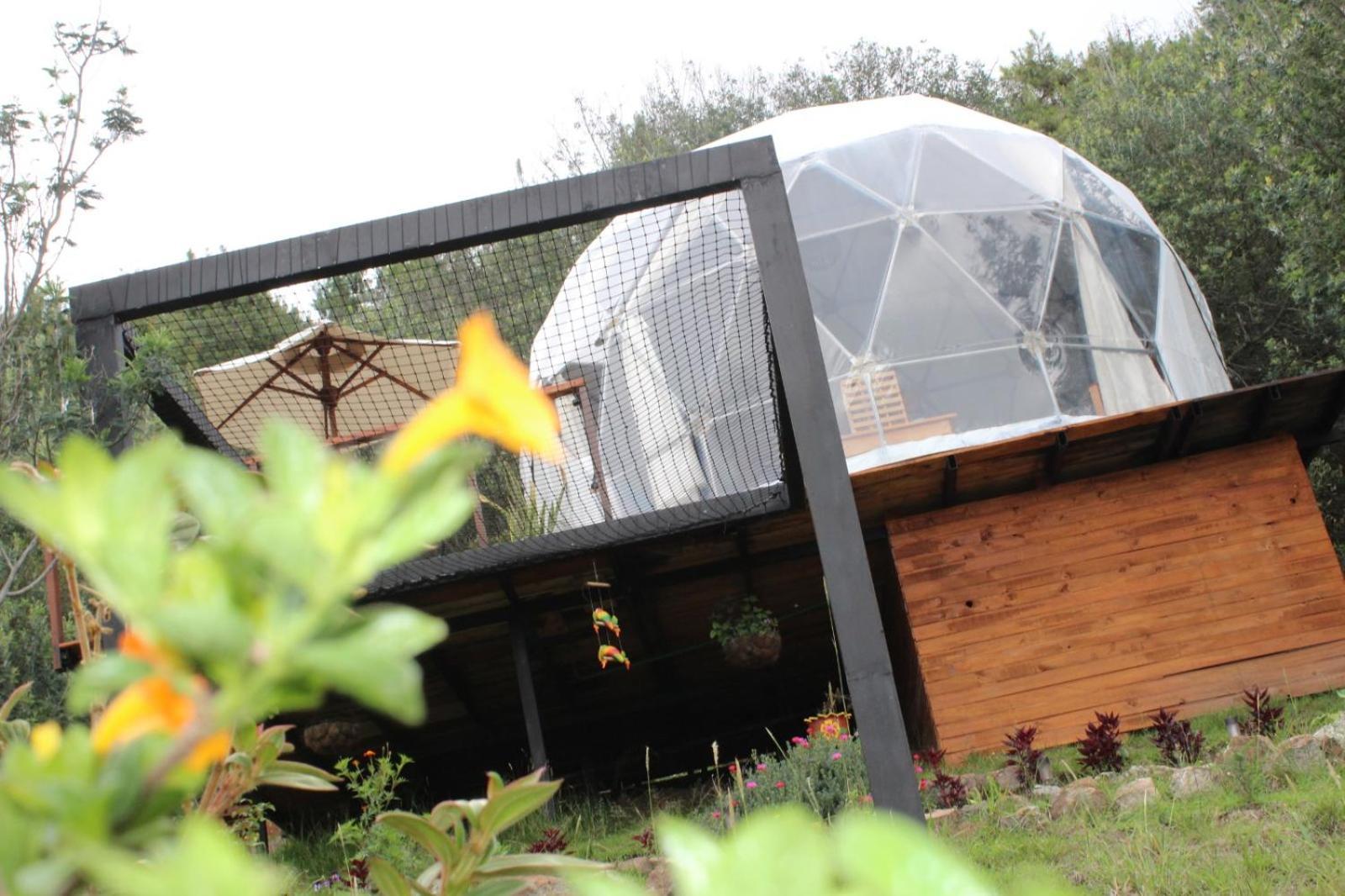 Glamping La Villa 瓜塔维塔 外观 照片