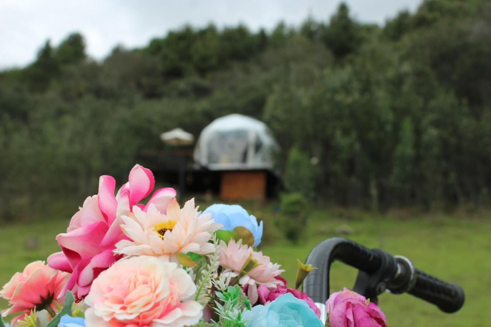 Glamping La Villa 瓜塔维塔 外观 照片