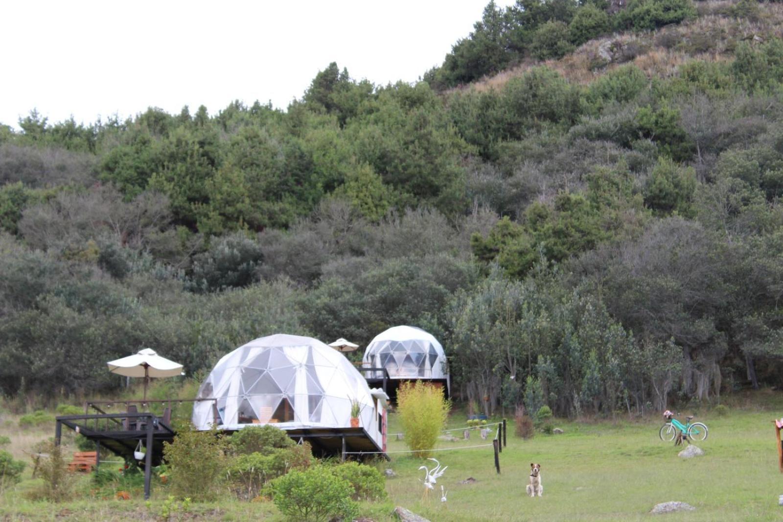 Glamping La Villa 瓜塔维塔 外观 照片