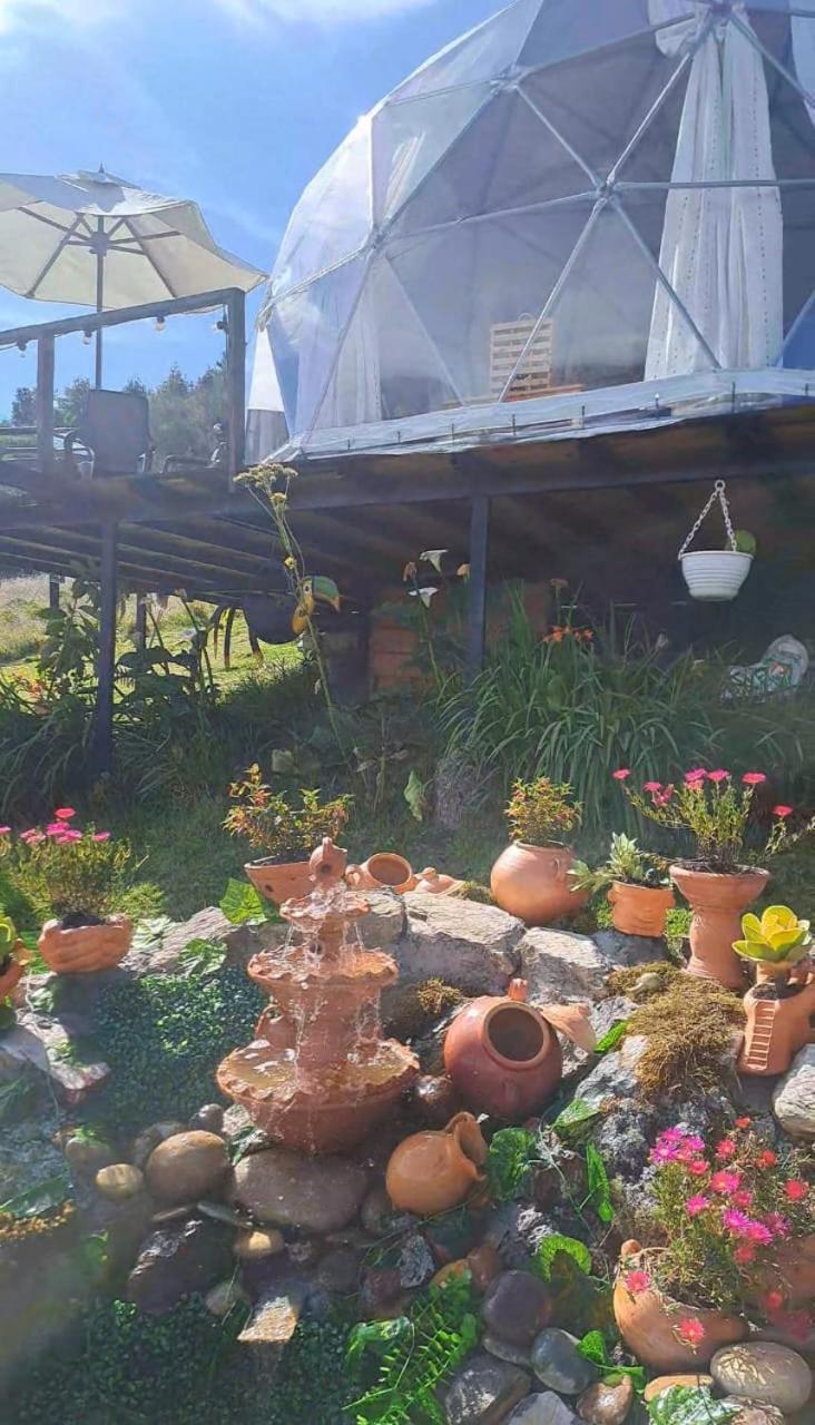 Glamping La Villa 瓜塔维塔 外观 照片